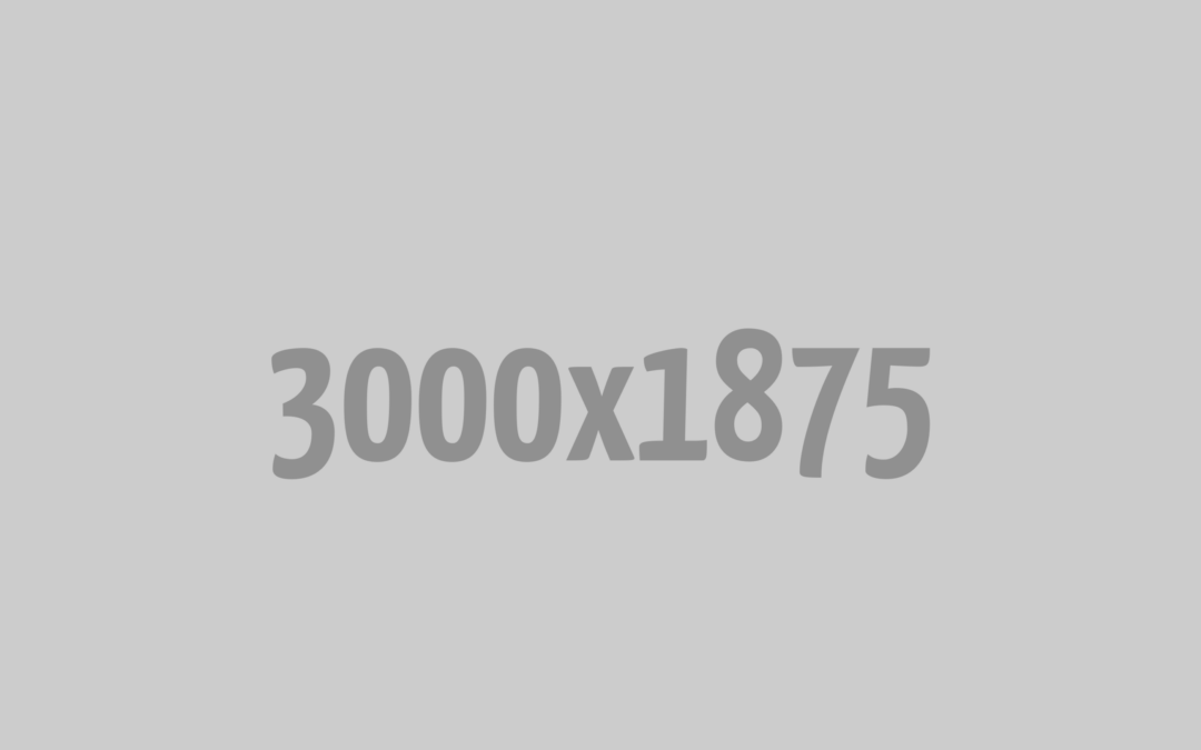 Blog Title 1